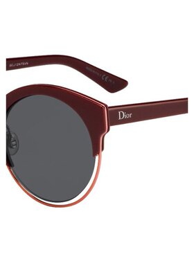Dior 徽标太阳镜 DIORSIDERAL1