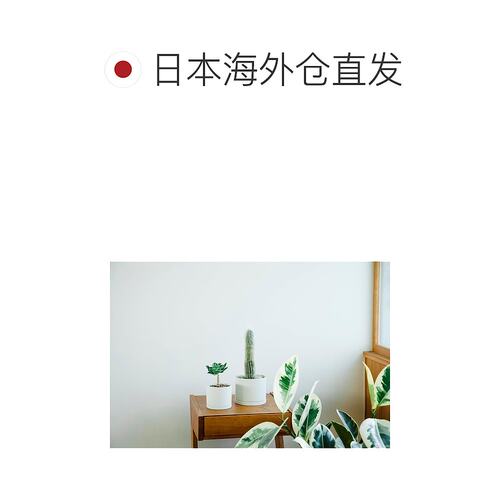 【日本直邮】KINTO 花盆 191 土灰色 170x160mm 29199 - 图1