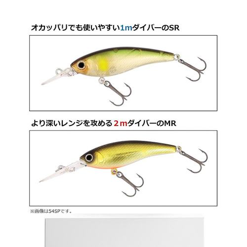 【日本直邮】达亿瓦Bass Lure STEEZ Silent Shad 60SP SR 赤羽青 - 图3