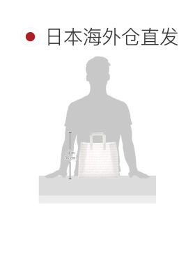 日本直邮HEADZ 法式霜冻手提袋 带提手 半透明 中号（20 个装