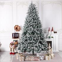 Encrypted Luxury Christmas Tree New 2023 True Tree Home Indoor High-end Christmas Hotel Decorations Luxury