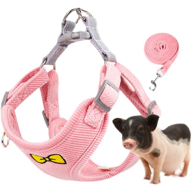 宠物猪牵引绳溜小香猪专用的绳子绑绳穿的衣服迷你小猪的生活用品,淘宝优惠券,粉丝福利购,淘宝优惠卷