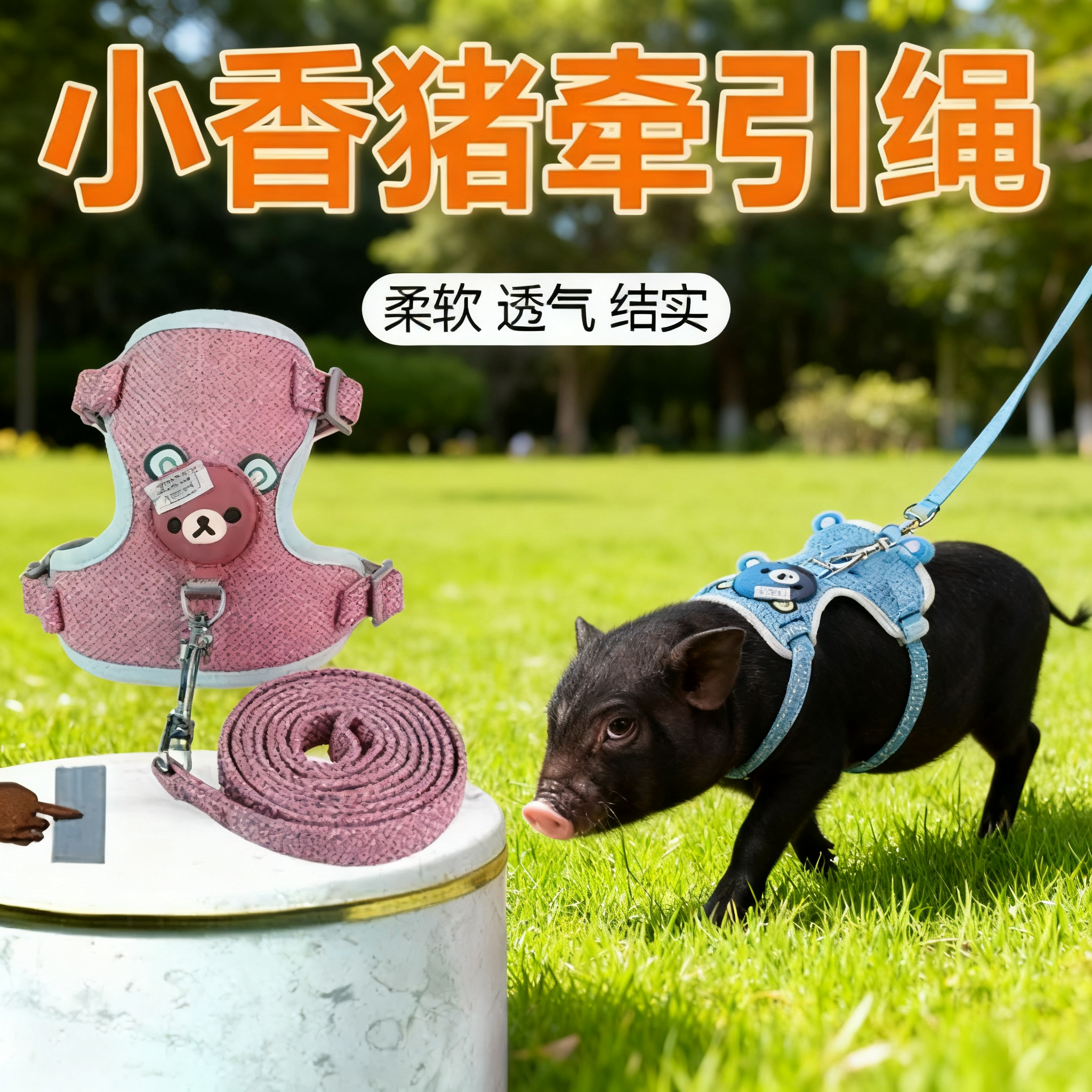 小香猪牵引绳专用溜宠物猪牵引绳遛泰国养小香猪的绳子生活用品,淘宝优惠券,粉丝福利购,淘宝优惠卷