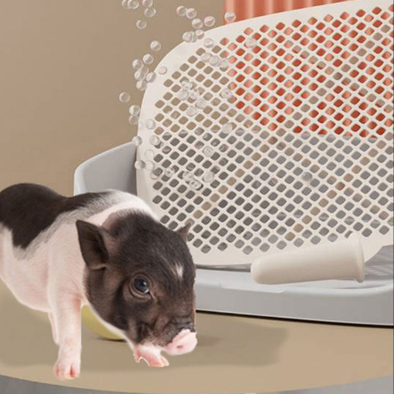 小香猪厕所专用宠物猪厕所拉屎尿粪便盆养泰国小香猪尿盆生活用品,淘宝优惠券,粉丝福利购,淘宝优惠卷