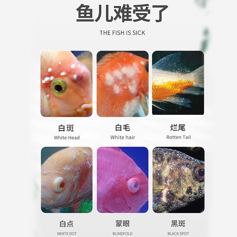 观赏鱼专用药白点净鱼药水霉病克星小瓜虫身上长白毛点金鱼白点-图0