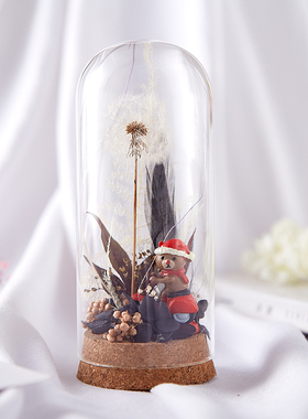 永生花礼物盒蒲公英干花闺蜜老师