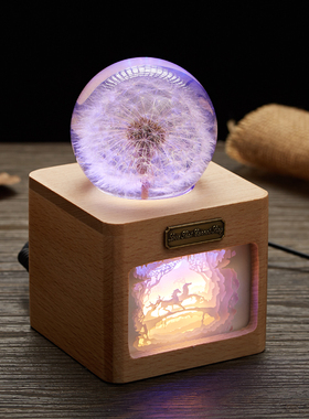 创意家居摆件送男女生蒲公英标本