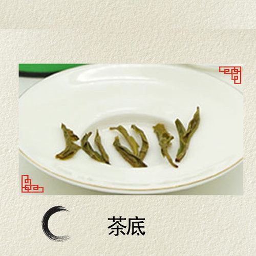 2026新茶云南滇绿茶保山大叶种昌宁树根地烘青绿茶袋装一级180g - 图1