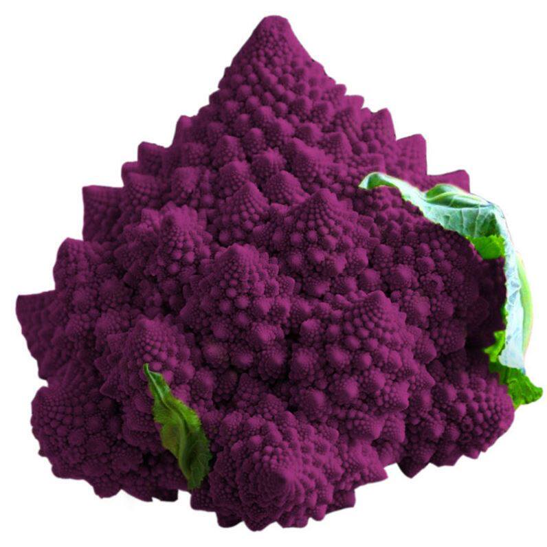 紫色花菜 新人首单立减十元 22年7月 淘宝海外