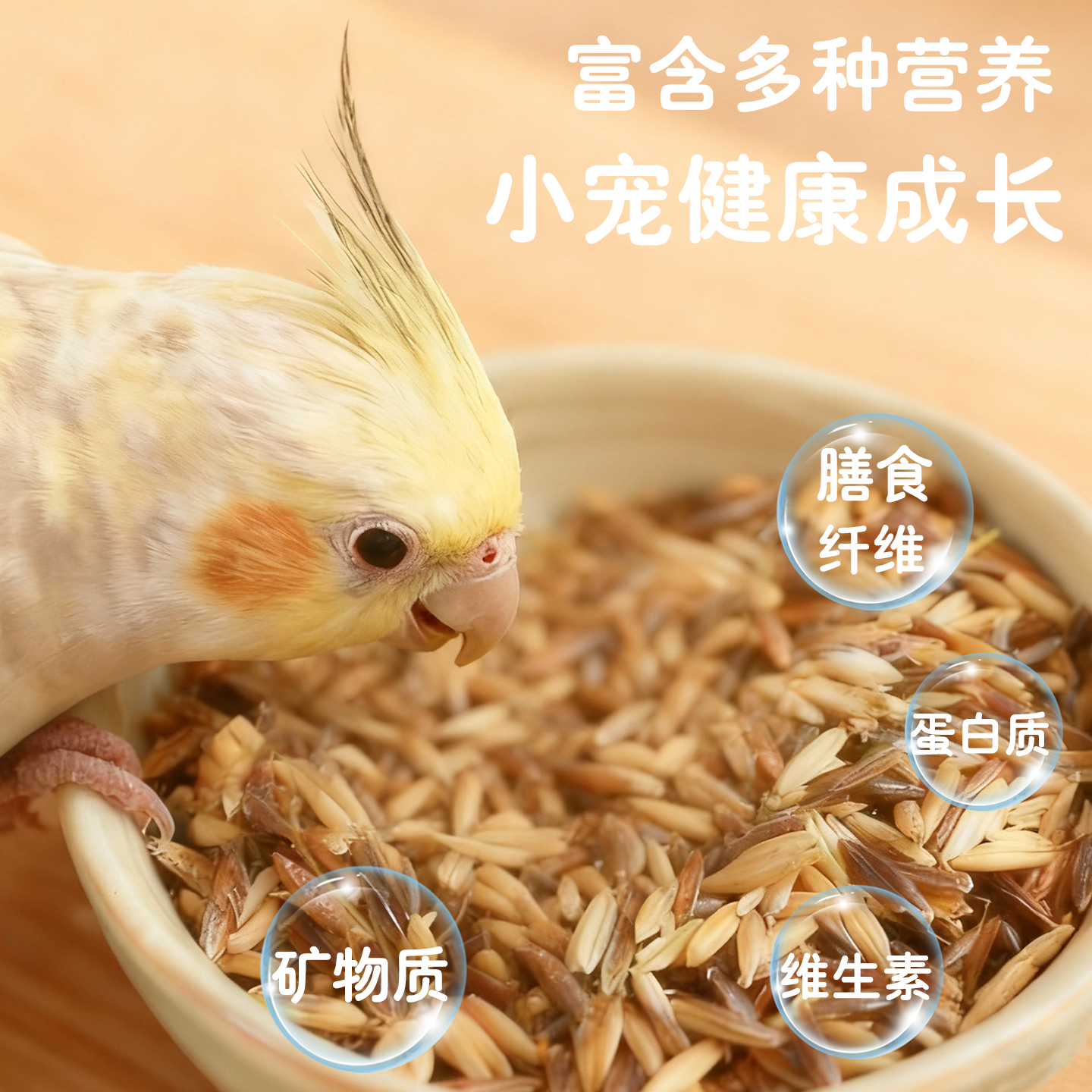 鹦鹉粮白玉黑金双色麦草籽鸟粮食鸟零食虎皮玄凤牡丹训练奖励鸟粮,淘宝优惠券,粉丝福利购,淘宝优惠卷