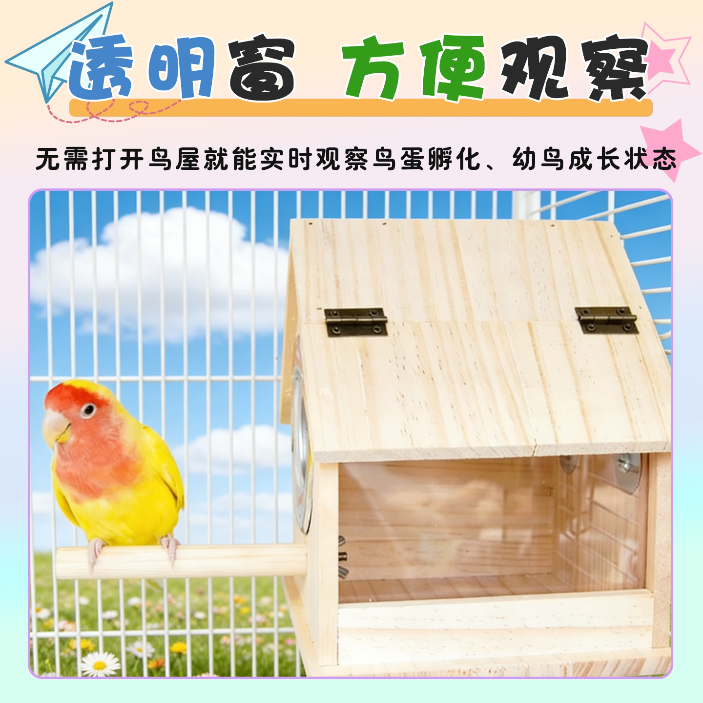 图3