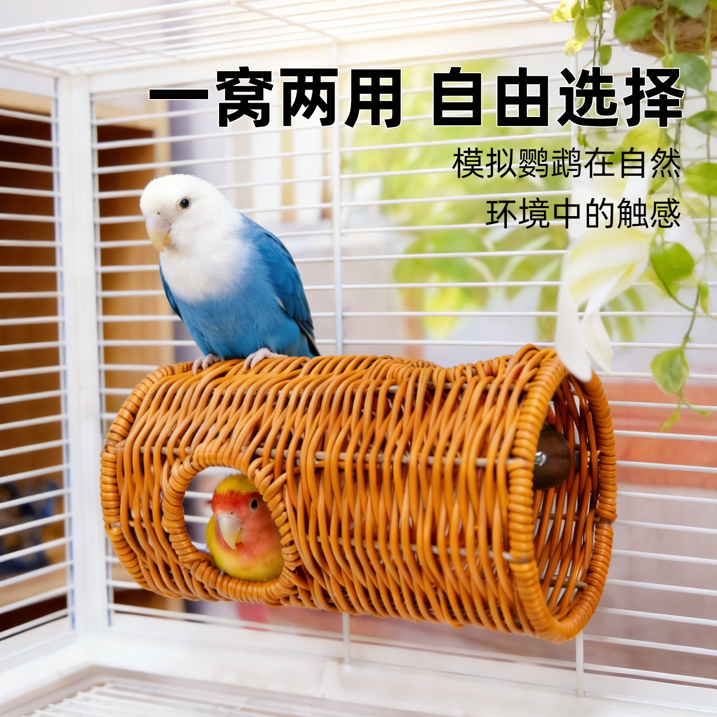 图5