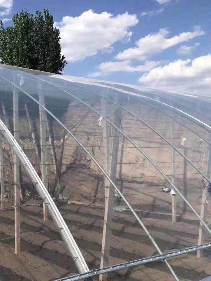 全新长寿大棚膜无滴膜黑白膜养殖PO膜蔬菜膜温室加厚透明保温膜,淘宝优惠券,粉丝福利购,淘宝优惠卷