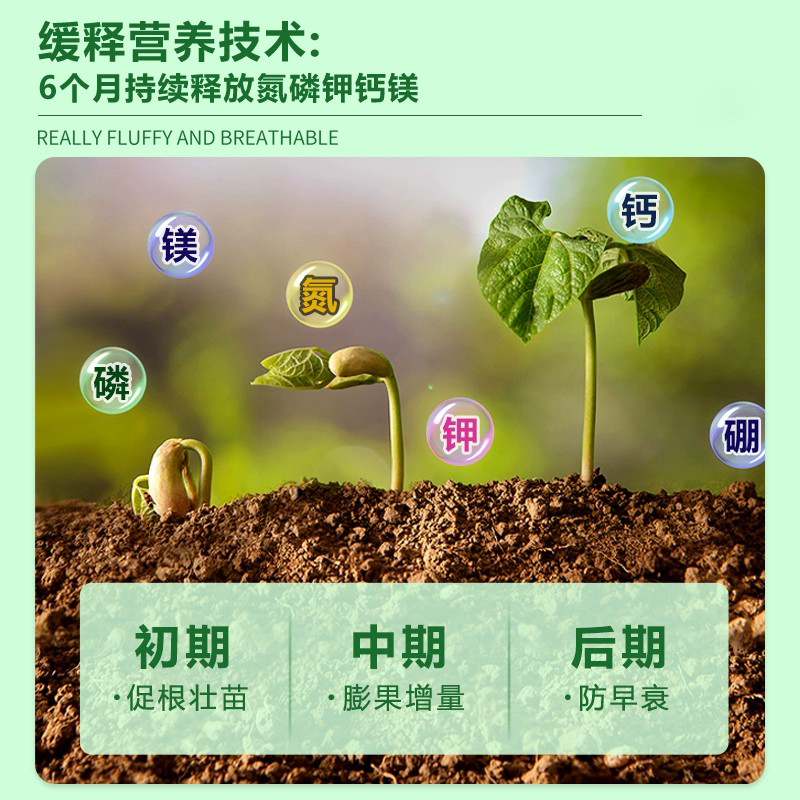 发财树专用肥料营养土种菜专用花卉通用优质包邮阳台盆栽有机土,淘宝优惠券,粉丝福利购,淘宝优惠卷