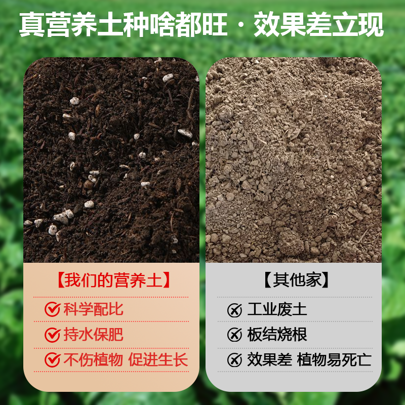 养花专用通用营养土花园种菜家用农用肥料优质有机肥土壤种植土,淘宝优惠券,粉丝福利购,淘宝优惠卷