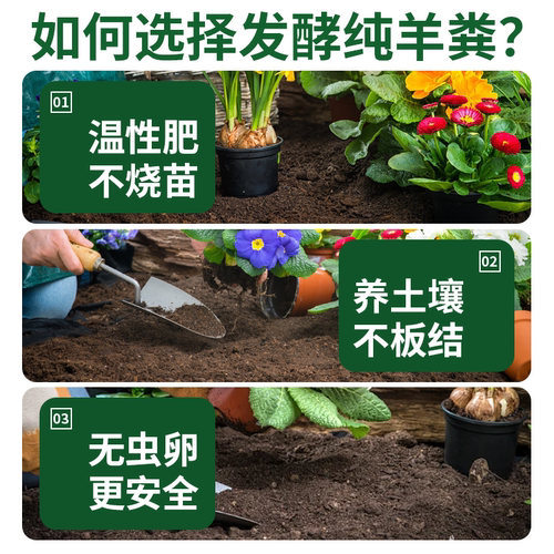 天然发酵纯鸡粪有机肥料家用种菜羊粪肥养花肥料瓜果蔬菜蚯蚓粪 - 图0