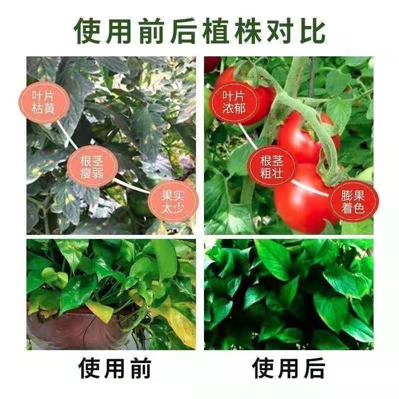 氮磷钾三元复合肥蔬菜农用种菜花卉果蔬有机肥料养花通用型100斤-图2