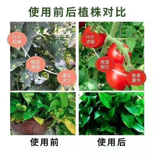 氮磷钾三元复合肥蔬菜农用种菜花卉果蔬有机肥料养花通用型100斤