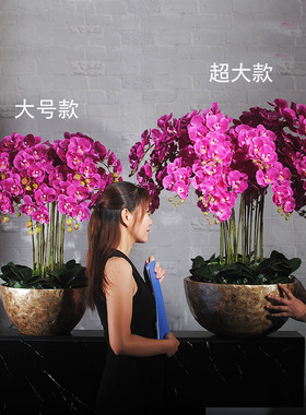 蝴蝶兰大堂公司前台客厅店铺假花