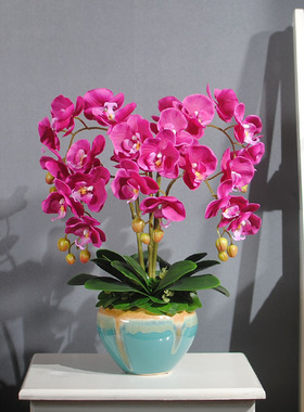 湿感假花客厅餐桌蝴蝶兰仿真花