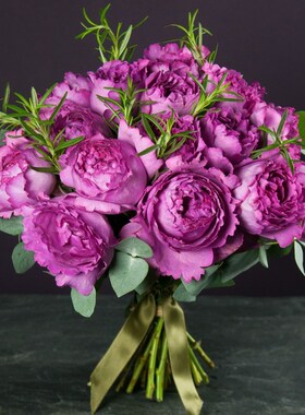 家居饰品伊芙系列月季花苗灌木伊芙伯爵大花浓香包子四季玫瑰月季