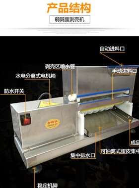 全自动鹌鹑蛋剥壳机兴达机械