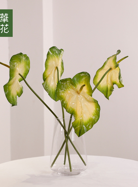 晶华花艺单枝花设计师花艺设计