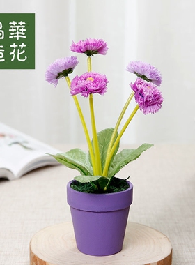 盆栽晶华风信子小盆栽装饰品假花
