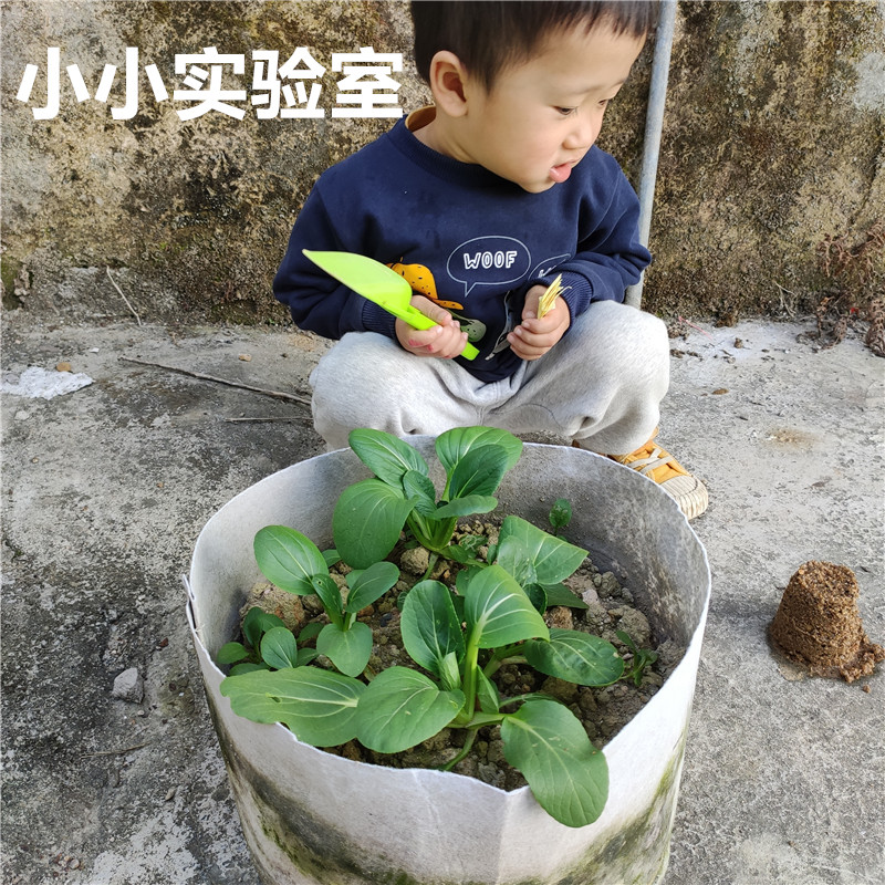 营养土 肥沃鱼塘泥 天然泥土 池塘土 花土 种菜土 大批量1吨 包邮 - 图2