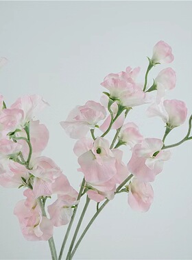 优森活绢花拍照广东豌豆花单枝
