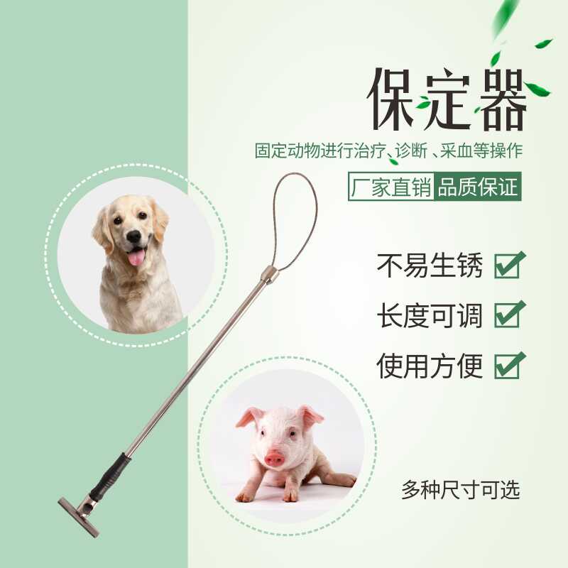 保定器狗 新人首單立減十元 22年11月 淘寶海外