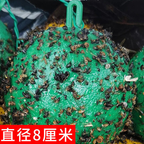 诱蝇球果蝇诱捕器丝瓜果树菜园粘虫球板针锋引诱剂马蜂柑橘大实蝇