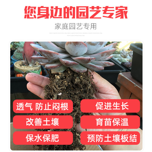 园艺珍珠岩颗粒天然优质营养土种花种菜养花多肉月季玫瑰专用保水 - 图1