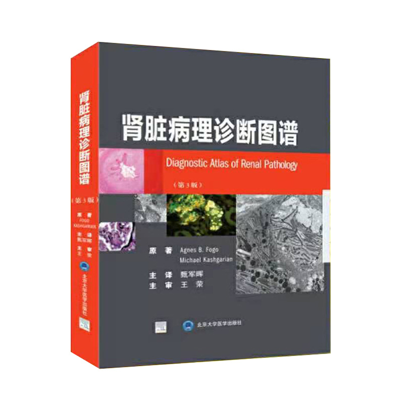 共3种4册2021新版肾脏病学第4版上下册/肾脏病理诊断图谱第3版/肾脏病临床概览王海燕主译甄军晖主审王荣肾内科肾病内科学 - 图2