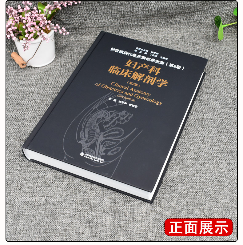 现货妇产科临床解剖学第二版二钟世镇现代临床解剖学全集山东科学技术出版社丁自海王增涛_虎窝淘