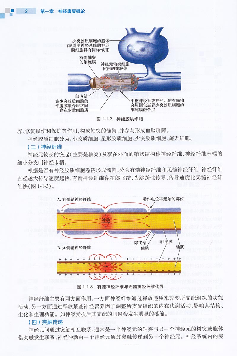 现货康复治疗师临床工作指南神经疾患康复治疗技术刘惠林胡昔权主编人民卫生出版社-图2