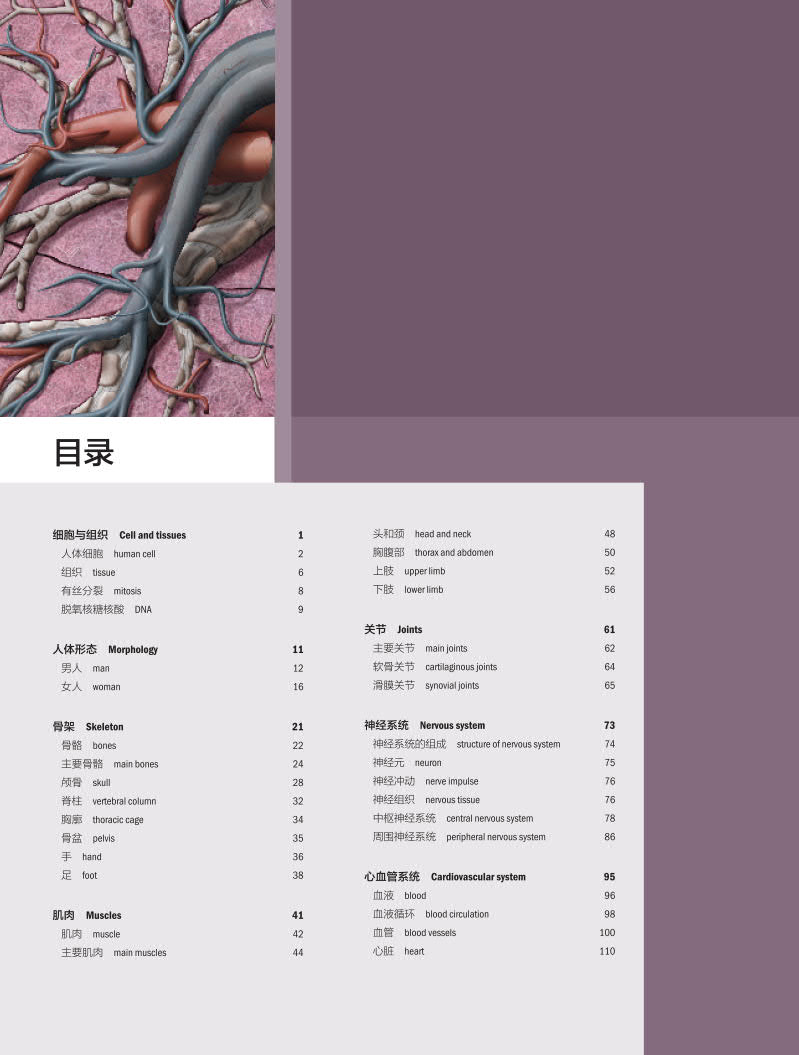 现货人体图典奇妙身体说明书 The Visual Dictionary Of The Human Body翻译版王卫明李箭主译人民卫生出版社9787117325080-图2