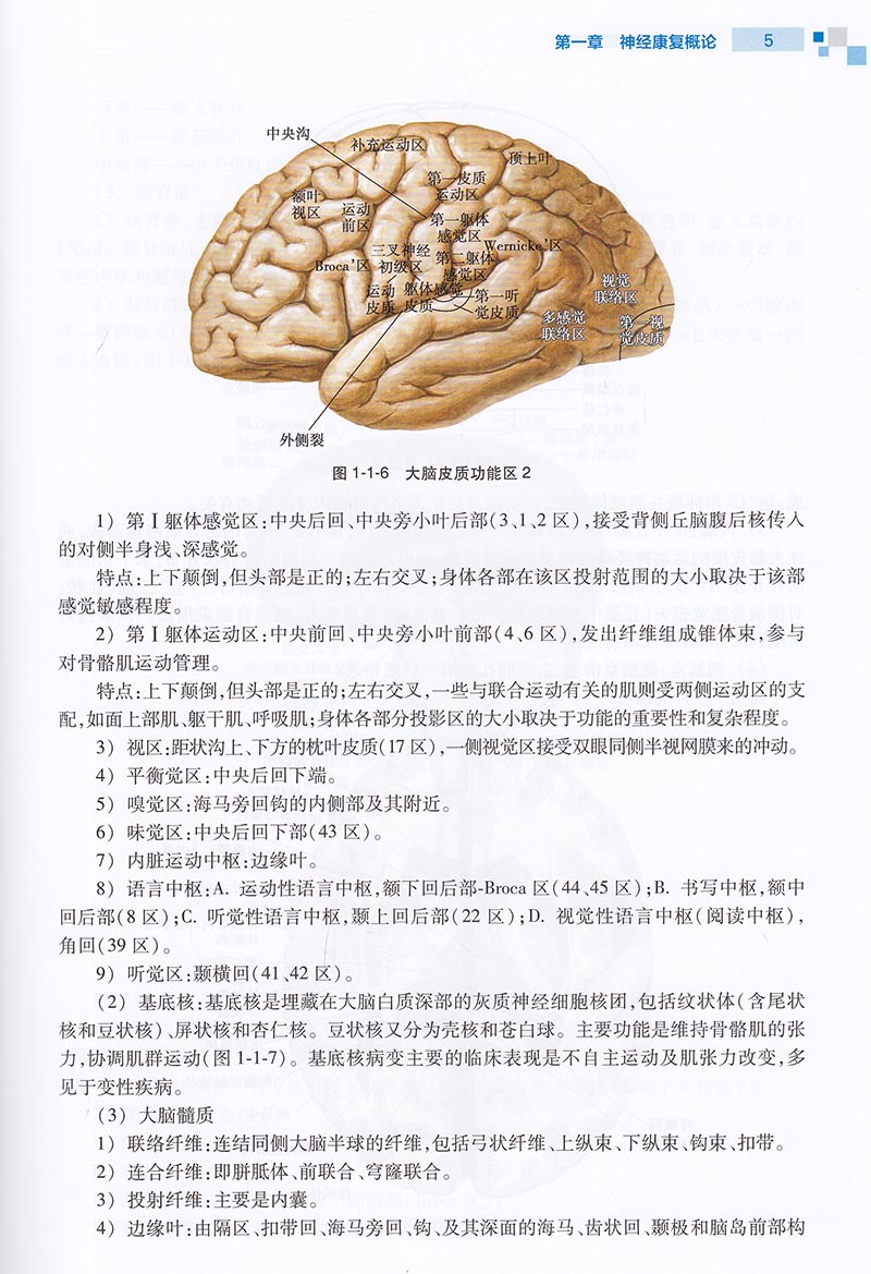 现货康复治疗师临床工作指南神经疾患康复治疗技术刘惠林胡昔权主编人民卫生出版社-图3