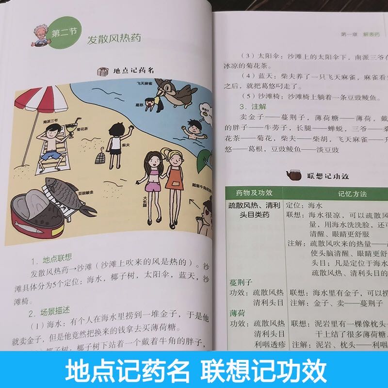 预售最强大脑速记中药学地点记药名联想记功效性味归经与主治中药入门中药学中医院校学生自学中医爱好者口袋书9787535971074 - 图2