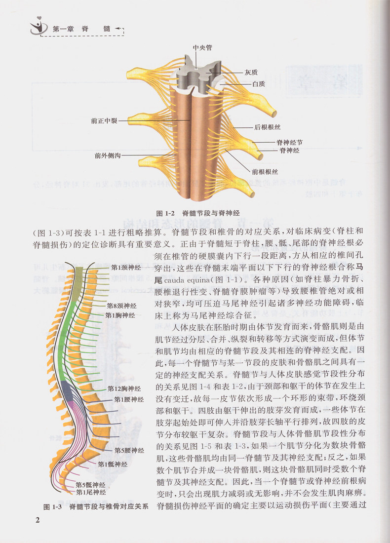 现货神经康复学解剖与生理(培训教材)王玮陈立典主编人民卫生出版社_虎窝淘