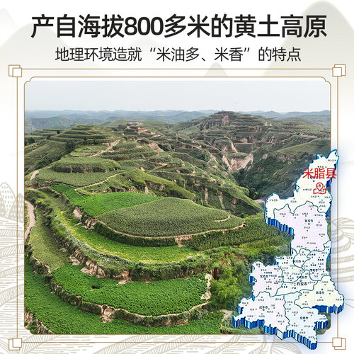 陕北小米黄小米新米小米粥食用米脂小米小黄米粮食油小米五谷杂粮 - 图0