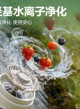 得力2.0升级纯钛电解果蔬清洗机
