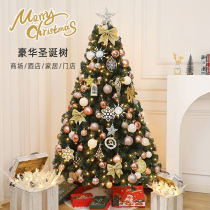 Christmas Tree Decoration Home Package Nordic Advanced Sensation 2024 New Christmas Trees Christmas Landing Hem