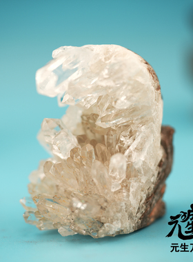 水晶簇刺猬 白家仙尊金甲炼化真身入驻独立意识天然晶体手工雕刻