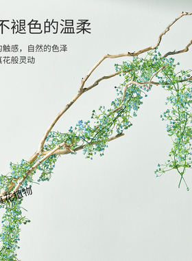 电线外露遮丑藤条风铃草藤蔓家居绿植婚庆壁挂装饰花园布置造景