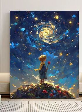 星空小王子diy数字油画