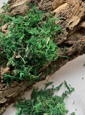 【干苔藓】天然绿色真苔藓干青苔