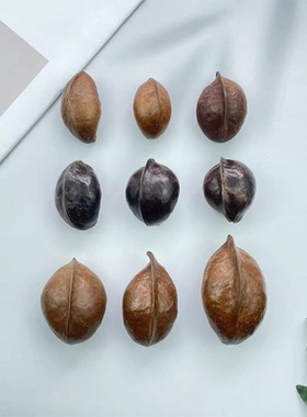 银叶树手作标本天然植物果壳花环