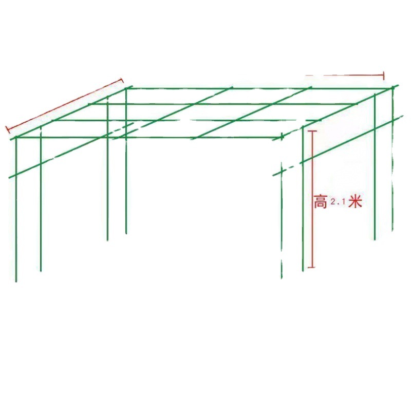 葡萄架包塑钢管材料庭院套网格猕猴桃爬藤类植物一件跨境-图3