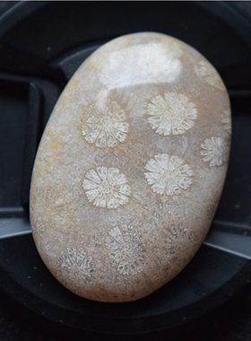 天然白色珊瑚玉吊坠